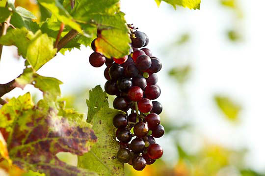 ip攻击器网页版ddos